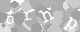 Please type the characters of this captcha image in the input box