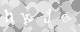 Please type the characters of this captcha image in the input box